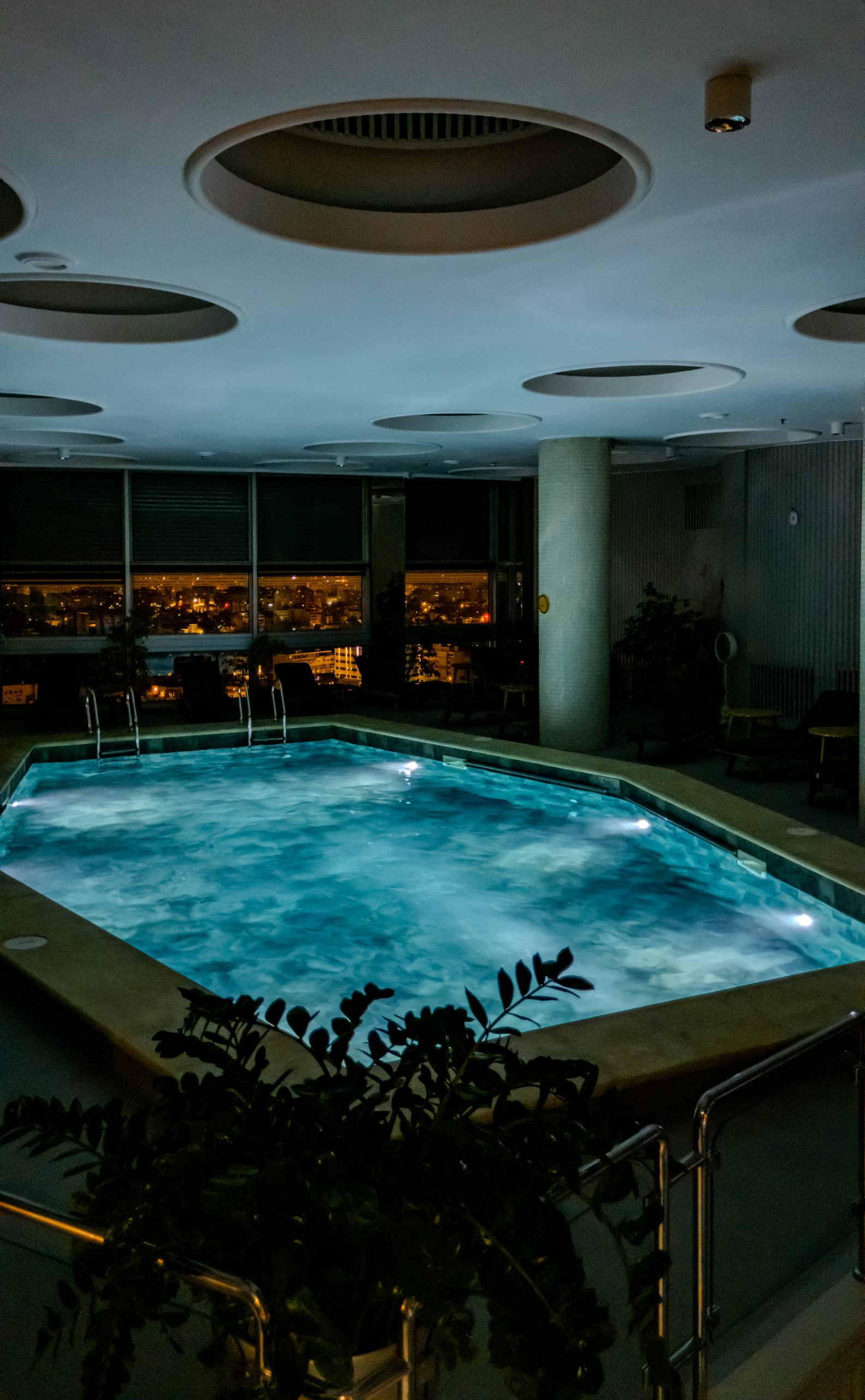 Pool at night with plants
