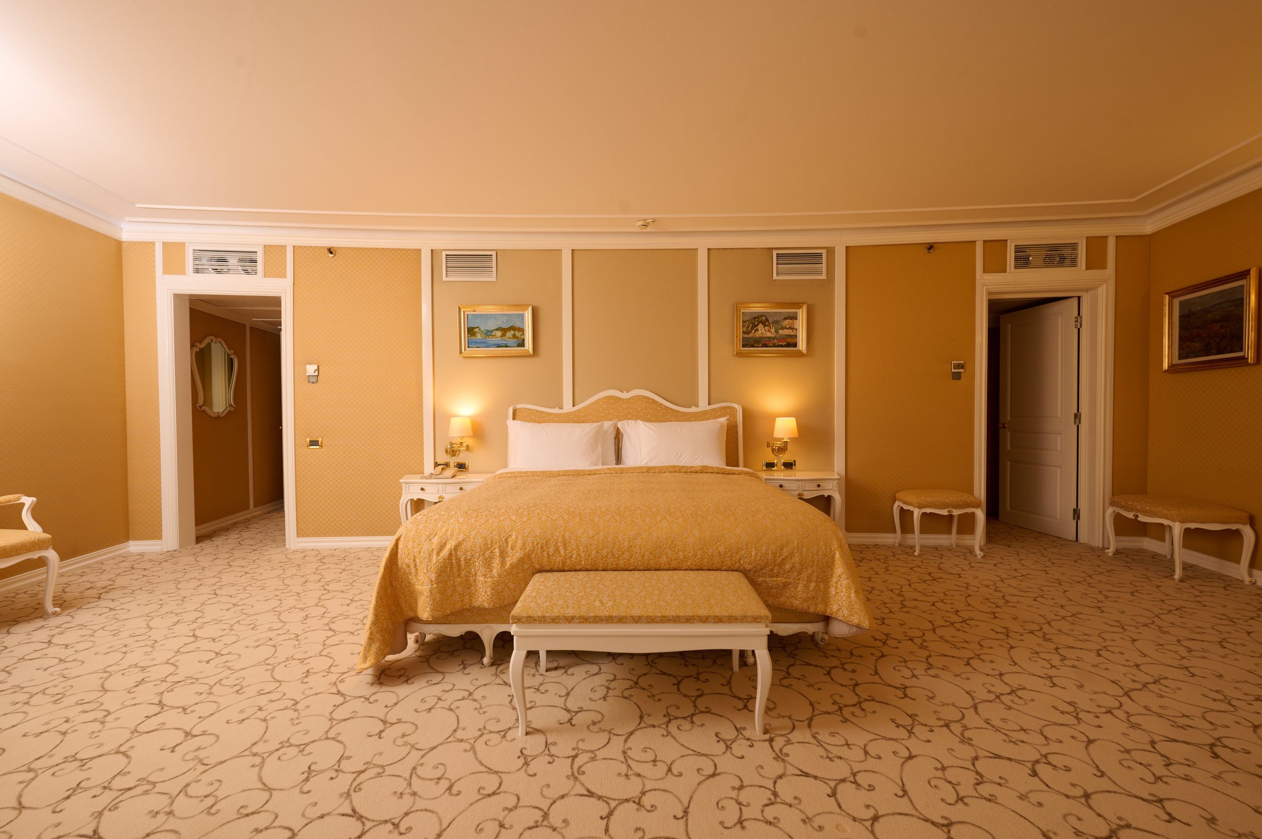 Suite with king bed