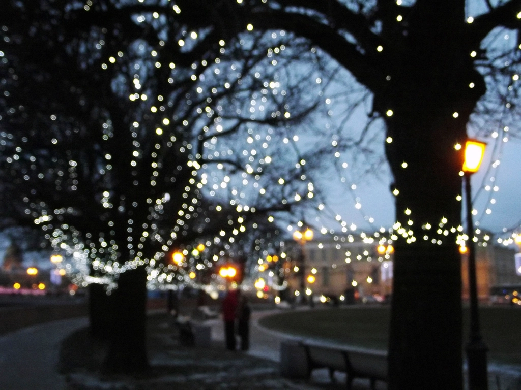 Evening event with string lights